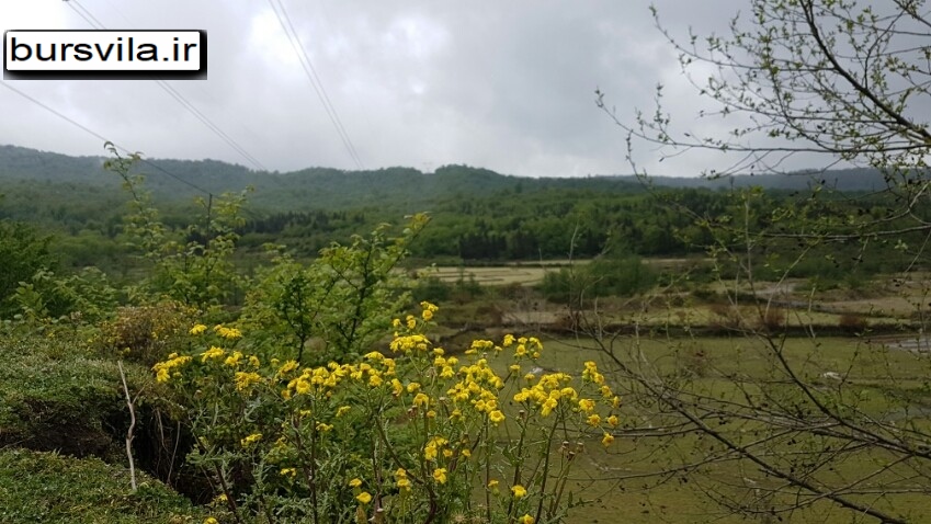 طبیعتت